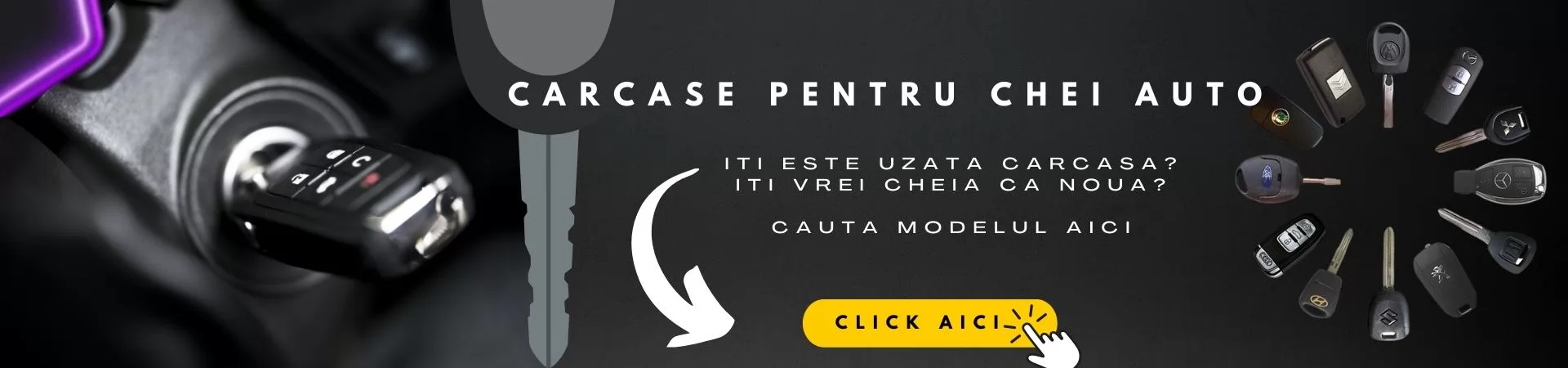 Carcase pentru chei auto masina
