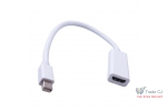 Adaptor Mini Display port tata la HDMI mama 24cm