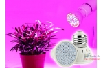 60 or 80LED 220V Bulb, for plant cultivation, E27 socket