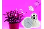 Bec 60 sau 80LED 220V, pentru cultivarea plantelor, dulie E27