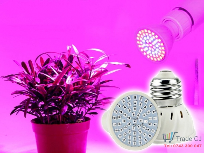 60 or 80LED 220V Bulb, for plant cultivation, E27 socket