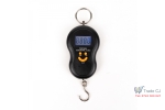 Electronic Hand Scale with Hook, 50Kg, Illuminated LCD Screen