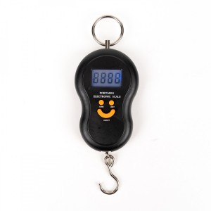 Cantar Electronic de Mana cu Carlig , 50Kg , Ecran LCD luminat