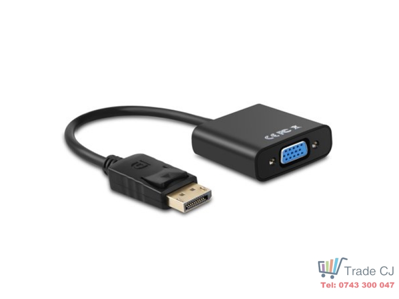 Convertor Display Port DP la VGA HDTV