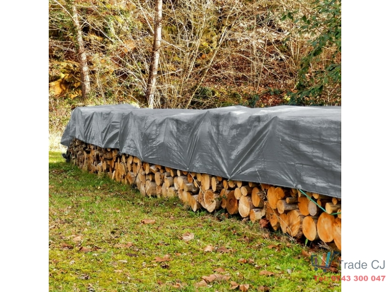 Prelata impermeabila universala, 10x15 m, densitate 100g mﾲ, inele de prindere metalice, culoare argintie