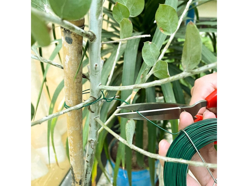 Sarma verde pentru legat in gradina, 0.8mmx75m, PVC Coated