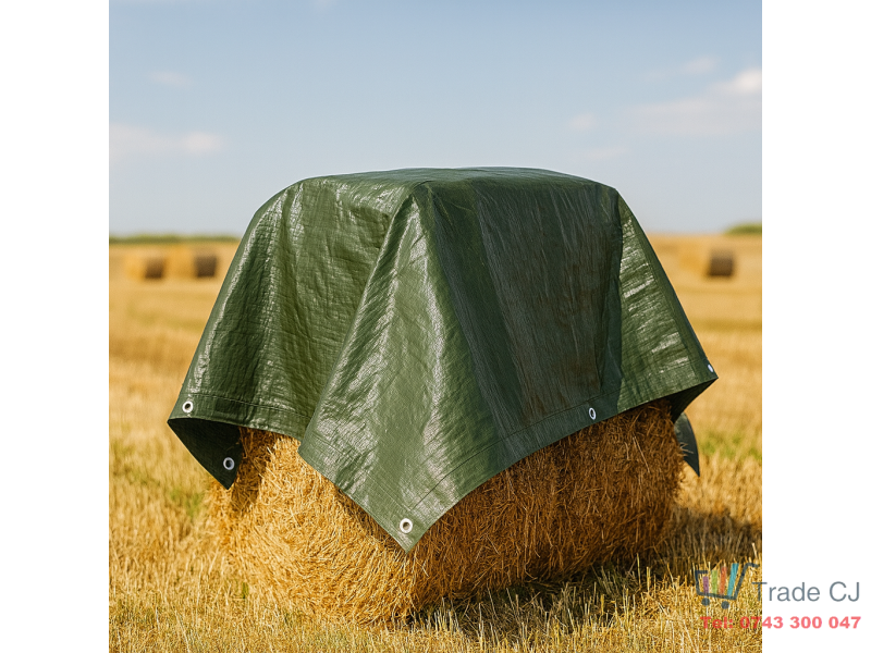 Prelata impermeabila, 2x3m, densitate 200g mﾲ, inele de prindere, verde
