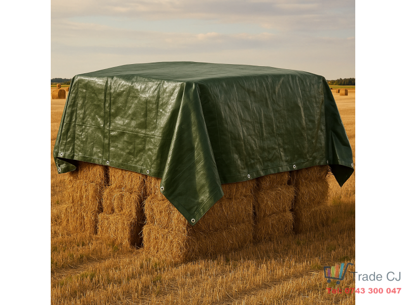 Prelata impermeabila, 6x8m, densitate 200g mﾲ, inele de prindere, verde