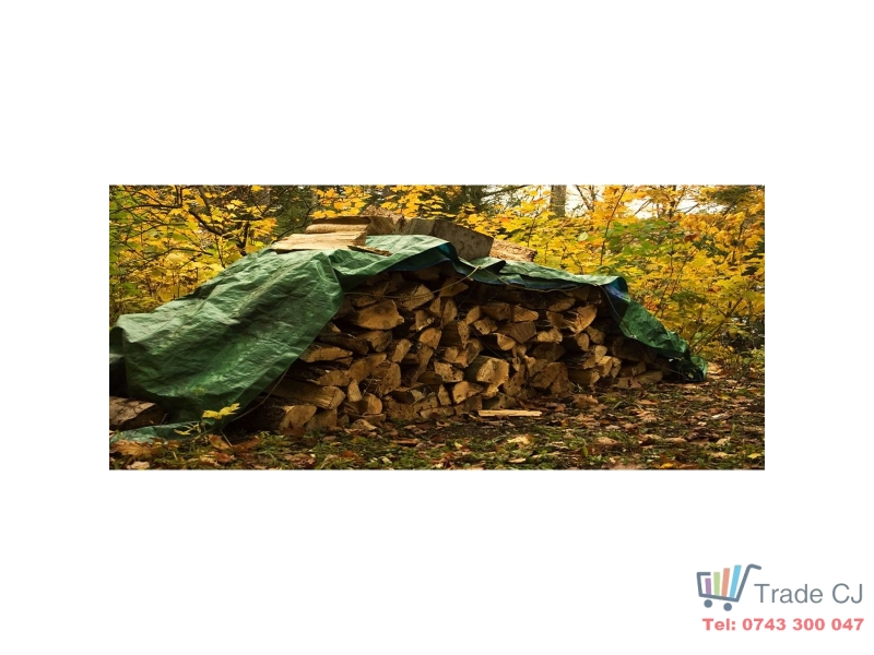 Prelata impermeabila, 2x4m, densitate 65g mﾲ, inele de prindere, culoare verde