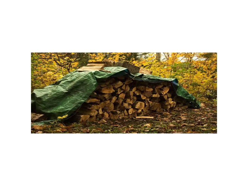 Prelata impermeabila, 2x4m, densitate 65g mﾲ, inele de prindere, culoare verde