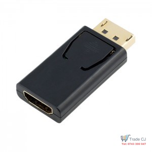 1080P Display Port to HDMI Adapter
