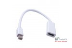 Mini Display Port male adapter to HDMI female 24cm