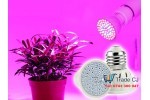 Bec 60 sau 80LED 220V, pentru cultivarea plantelor, dulie E27