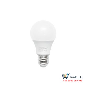 LED bulb E27 5W, 12V cold color 6500K