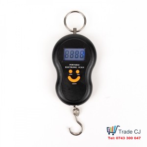 Electronic Hand Scale with Hook, 50Kg, Illuminated LCD Screen
