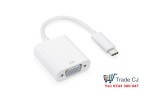 USB-C converter to VGA HDTV Mac